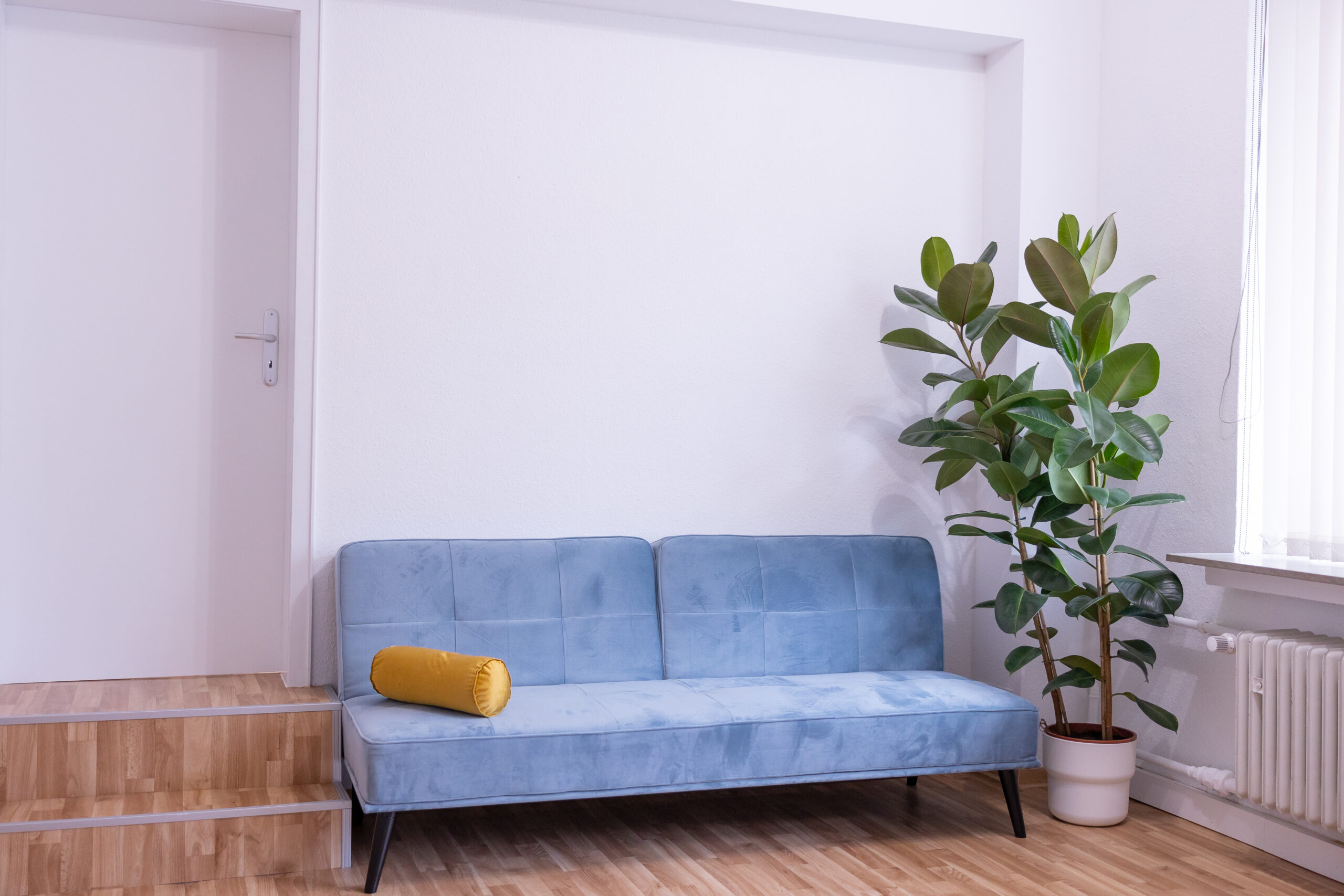 Sofa mit Pflanze vor weißer Wand